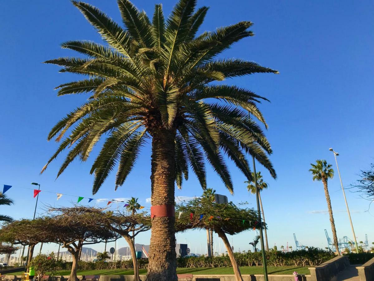 Apartamento Muelle Deportivo Las Palmas de Gran Canaria Eksteriør bilde